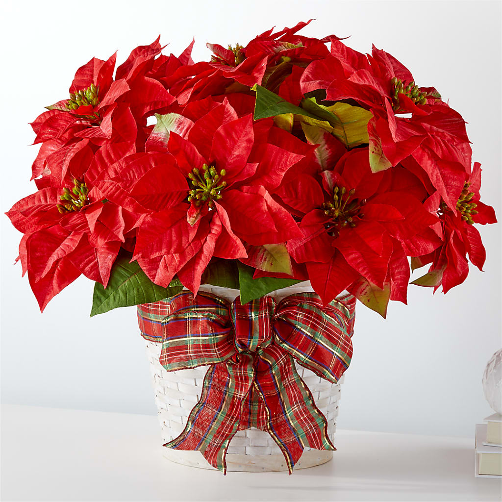 Happiest Holidays Poinsettia – Lily And Rose, Nashville TN