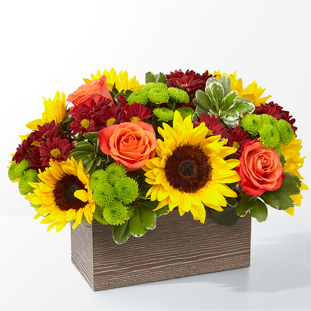 Happy Harvest Garden – Lily And Rose, Nashville TN