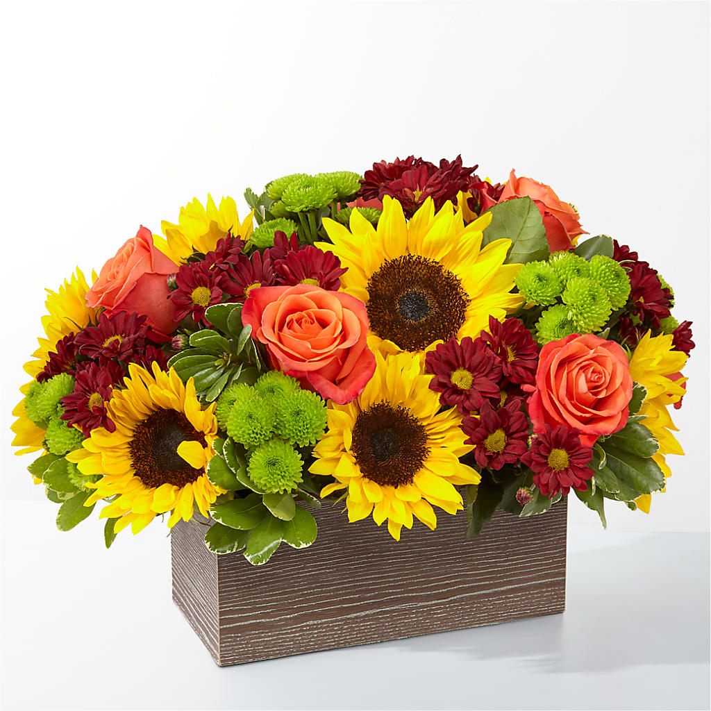 Happy Harvest Garden – Lily And Rose, Nashville TN