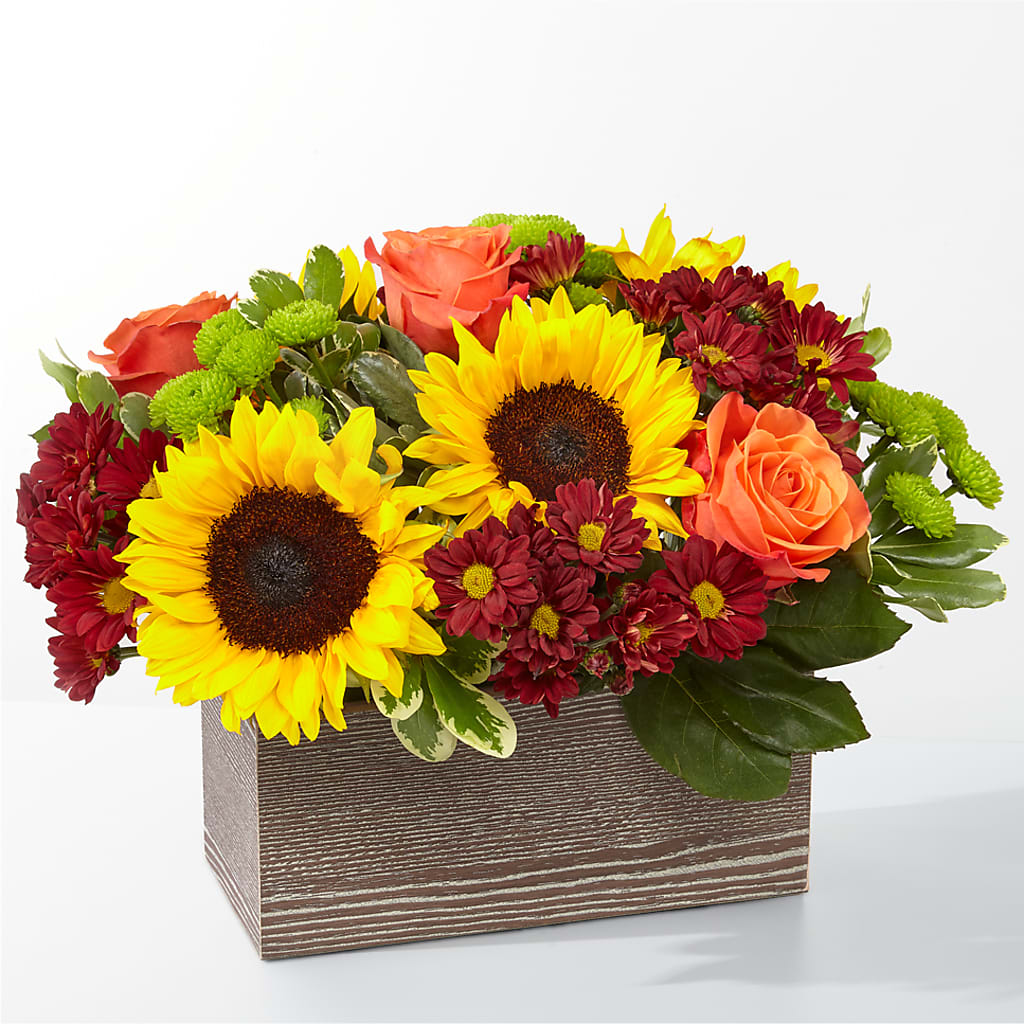 Happy Harvest Garden – Lily And Rose, Nashville TN