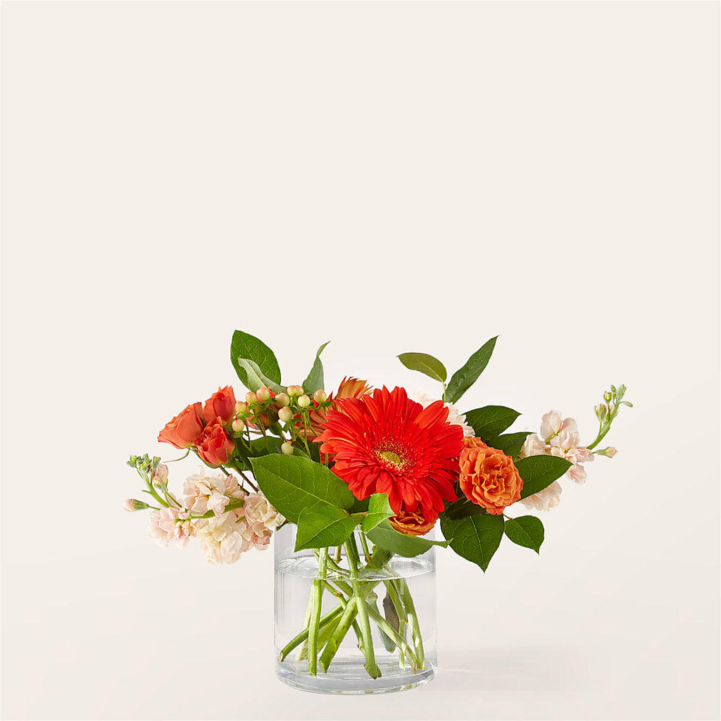Paloma Please Bouquet – Lily And Rose, Nashville TN
