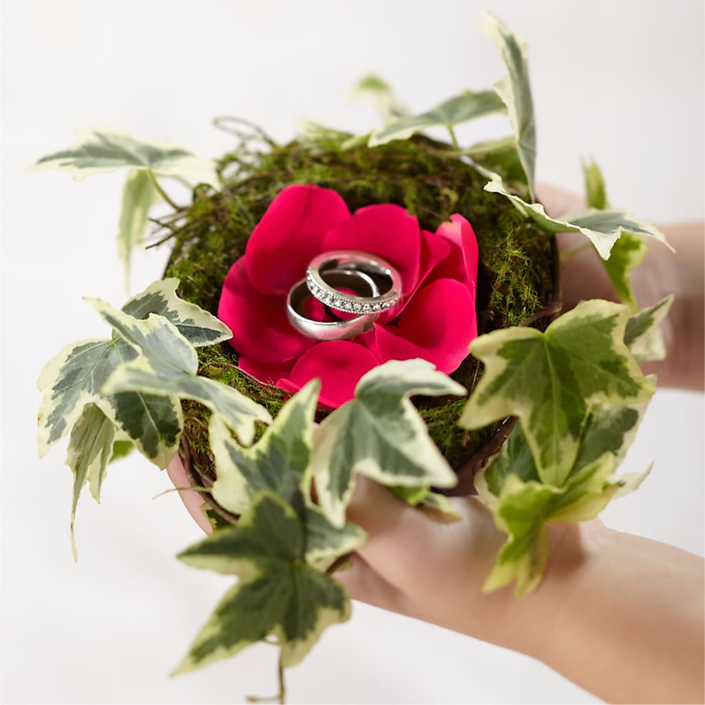Lila Rose Ring Nest – Lily And Rose, Nashville TN
