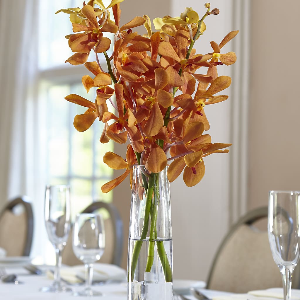 Orange Mokara Bud Vase – Lily And Rose, Nashville TN