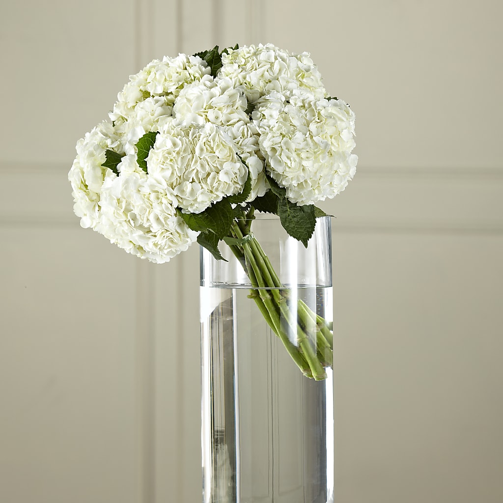 White Hydrangea Hand-Tied Bouquet – Lily And Rose, Nashville TN