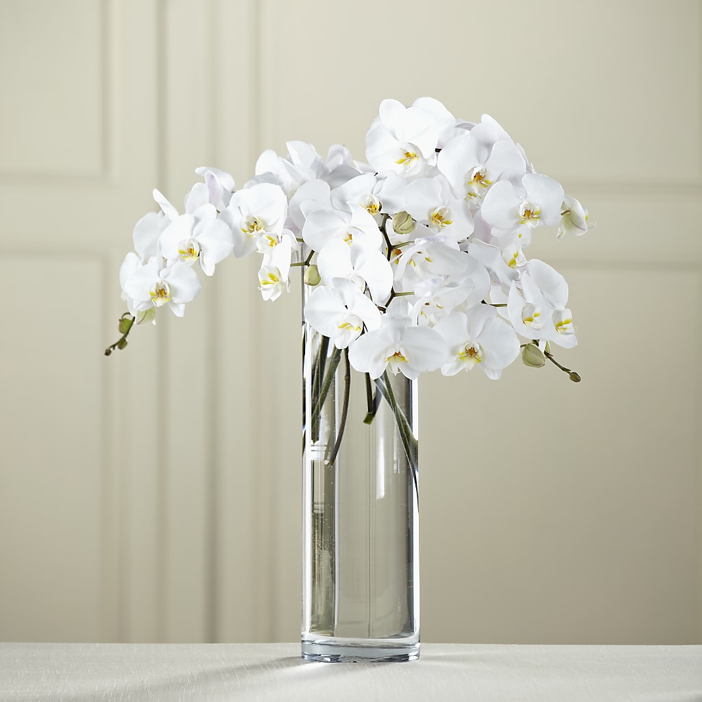 White Phalaenopsis Bouquet – Lily And Rose, Nashville TN
