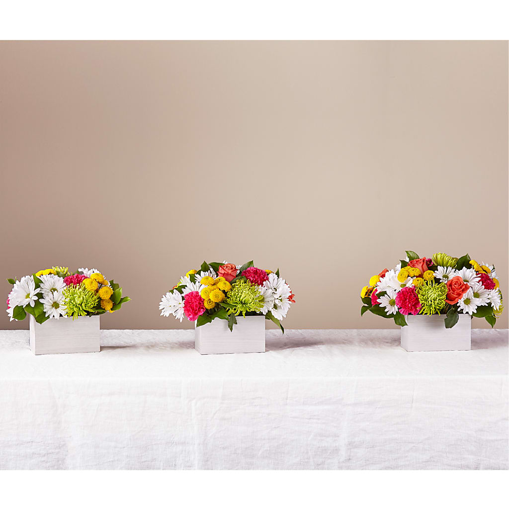 Sorbet Bouquet –  Lily And Rose, Nashville TN