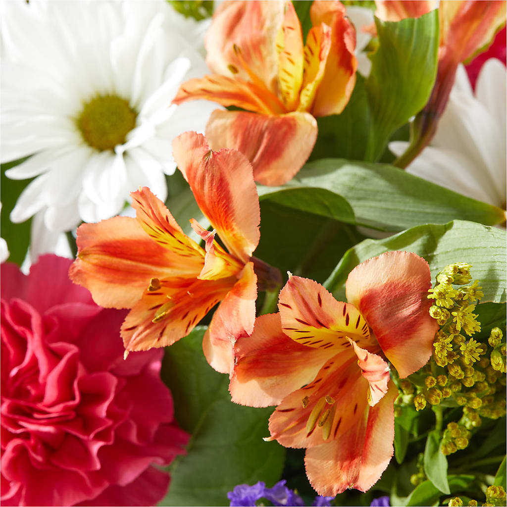 Oopsie Daisy Box Bouquet –  Lily And Rose, Nashville TN