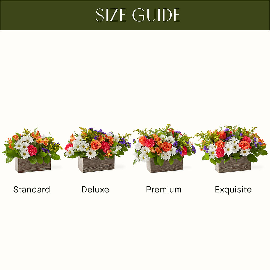 Oopsie Daisy Box Bouquet –  Lily And Rose, Nashville TN