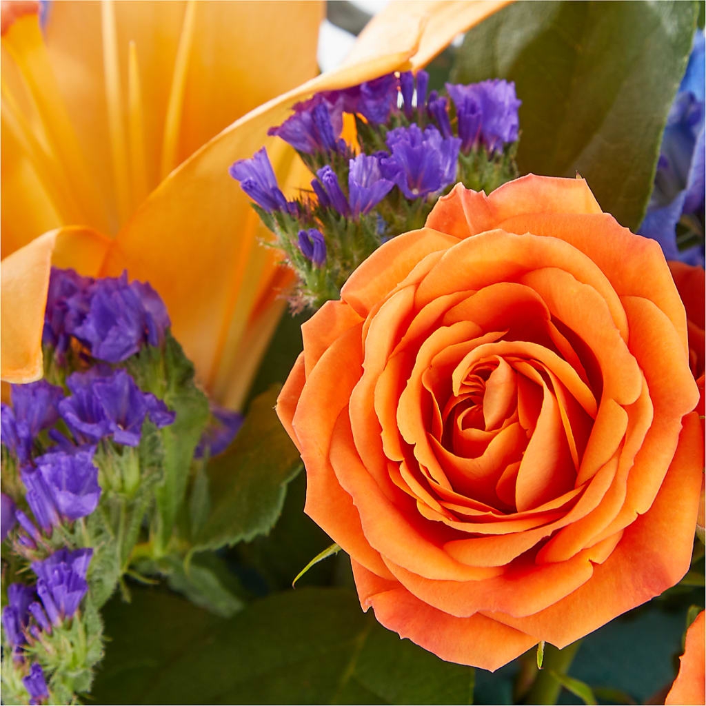 Radiant Citrus Box Bouquet –  Lily And Rose, Nashville TN