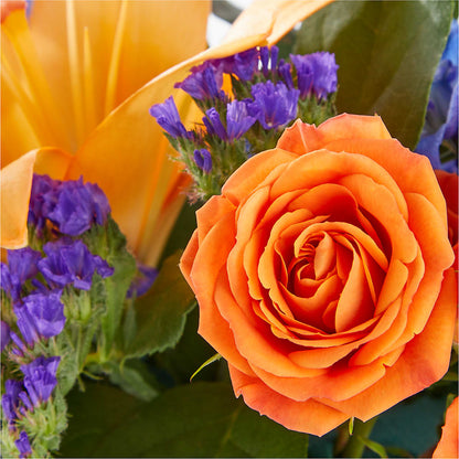 Radiant Citrus Box Bouquet –  Lily And Rose, Nashville TN