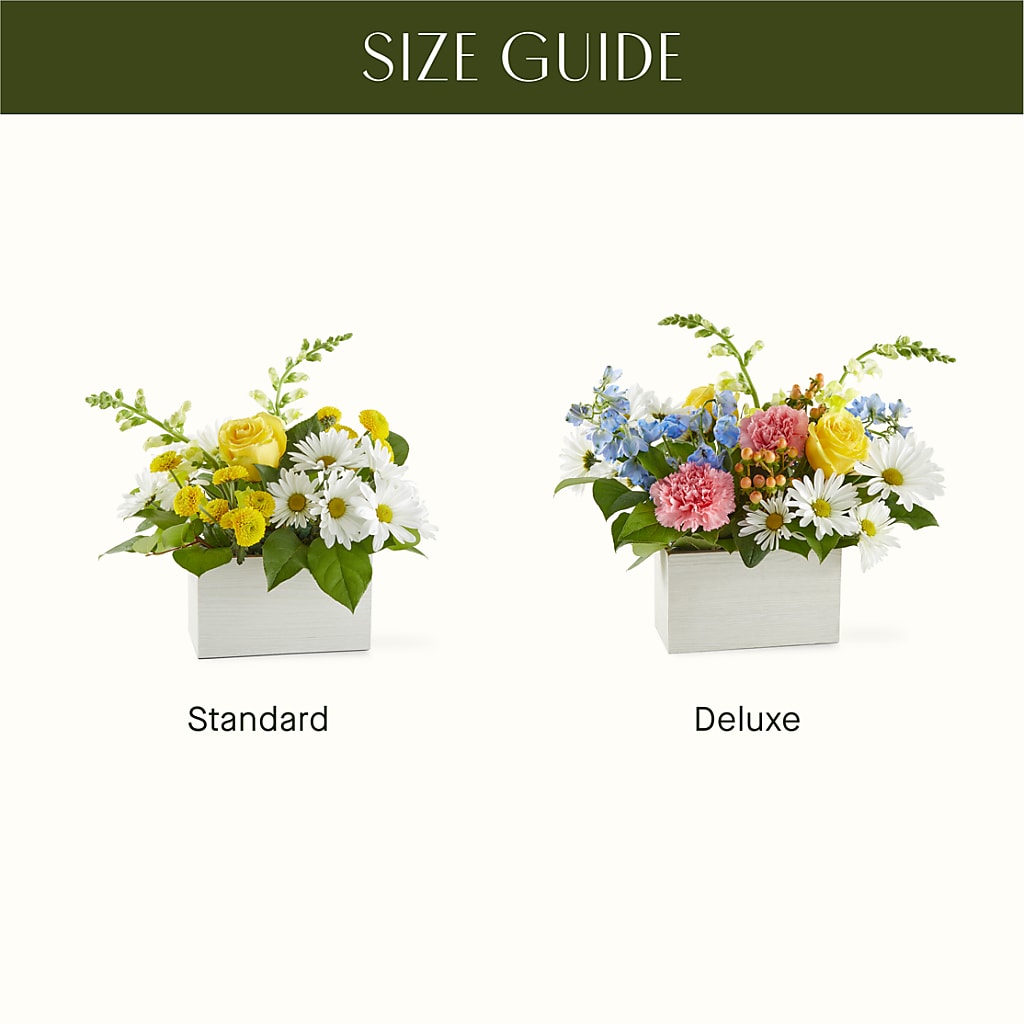 Sun Salutation Box Bouquet –  Lily And Rose, Nashville TN