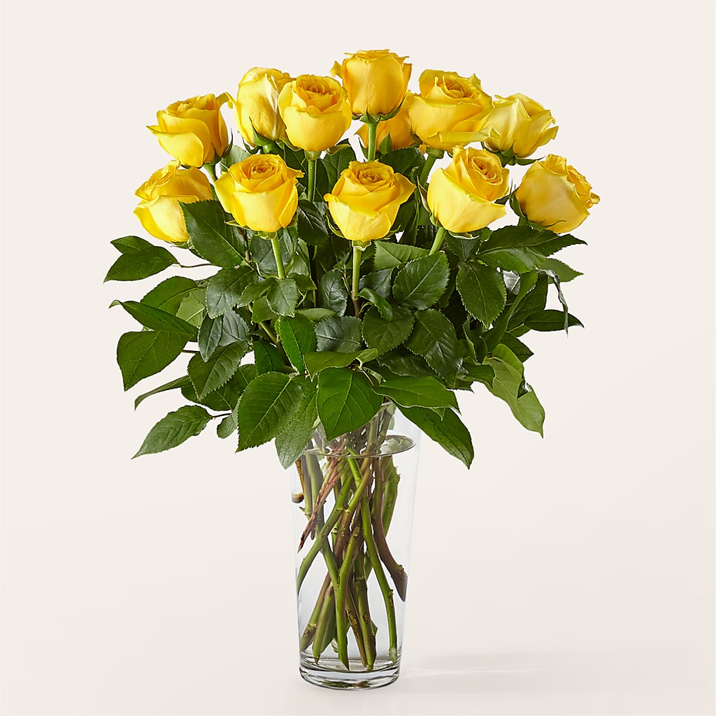 Long Stem Yellow Rose Bouquet –  Lily And Rose, Nashville TN
