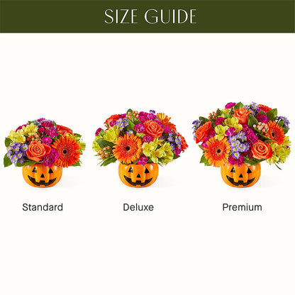Tricks & Treats Pumpkin –  Lily And Rose, Nashville TN