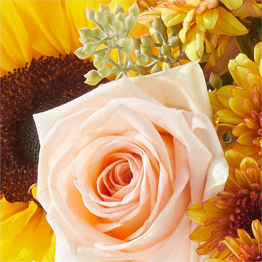 Pumpkin to Talk About Bouquet –  Lily And Rose, Nashville TN