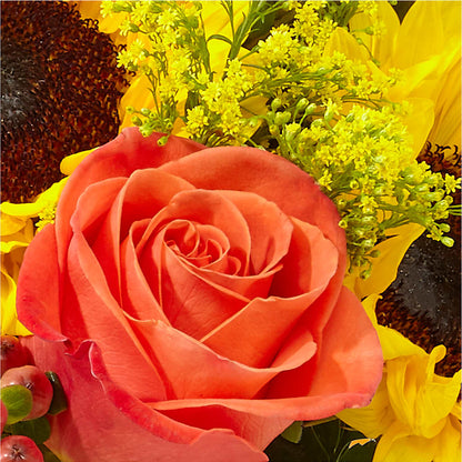 Pick of the Patch Pumpkin Bouquet –  Lily And Rose, Nashville TN
