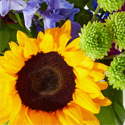Catching Rays Bouquet –  Lily And Rose, Nashville TN