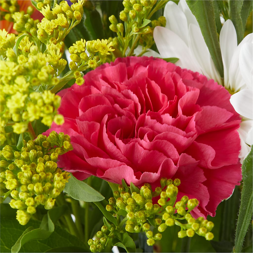 Oopsie Daisy Bouquet –  Lily And Rose, Nashville TN