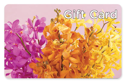 Gift Card –  Lily And Rose, Nashville TN