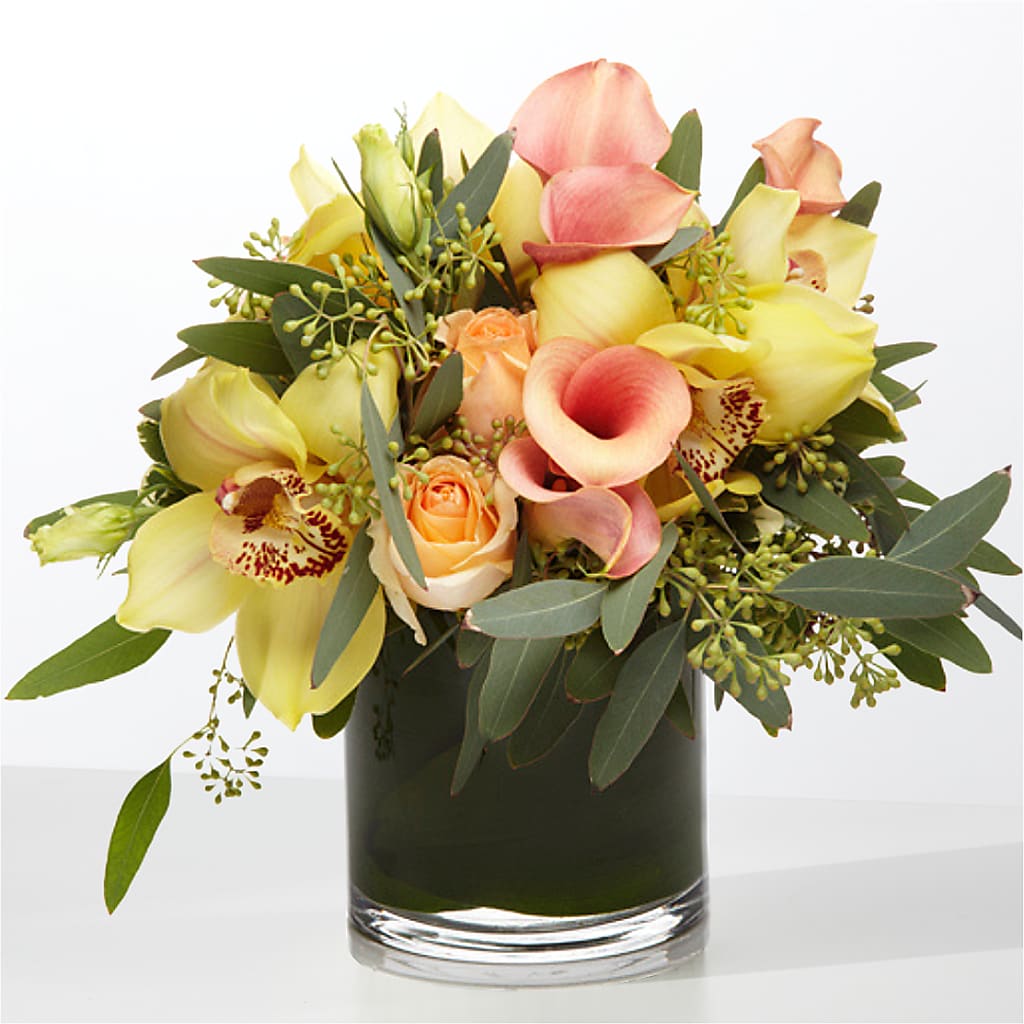 The Visionary –  Lily And Rose, Nashville TN