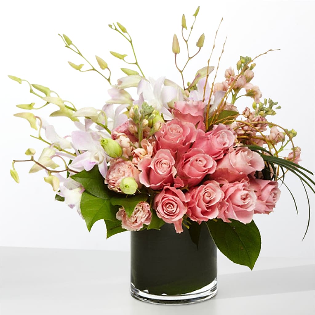 The Muse –  Lily And Rose, Nashville TN