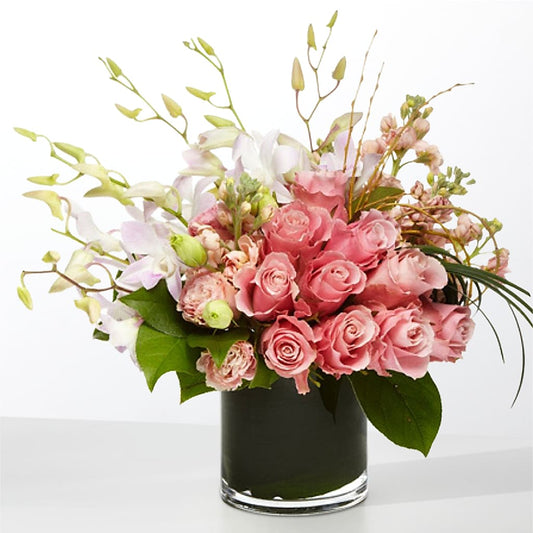 The Muse –  Lily And Rose, Nashville TN