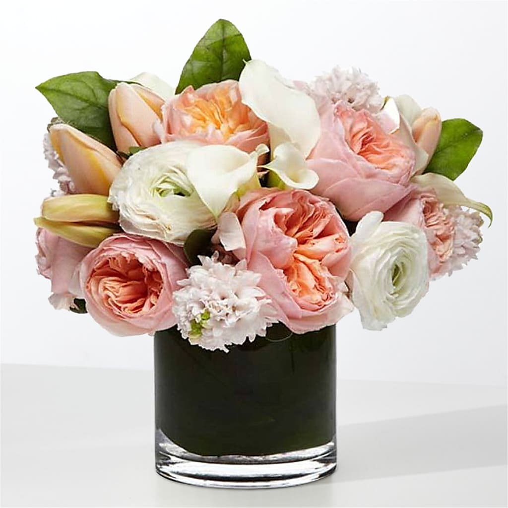 The Destiny –  Lily And Rose, Nashville TN