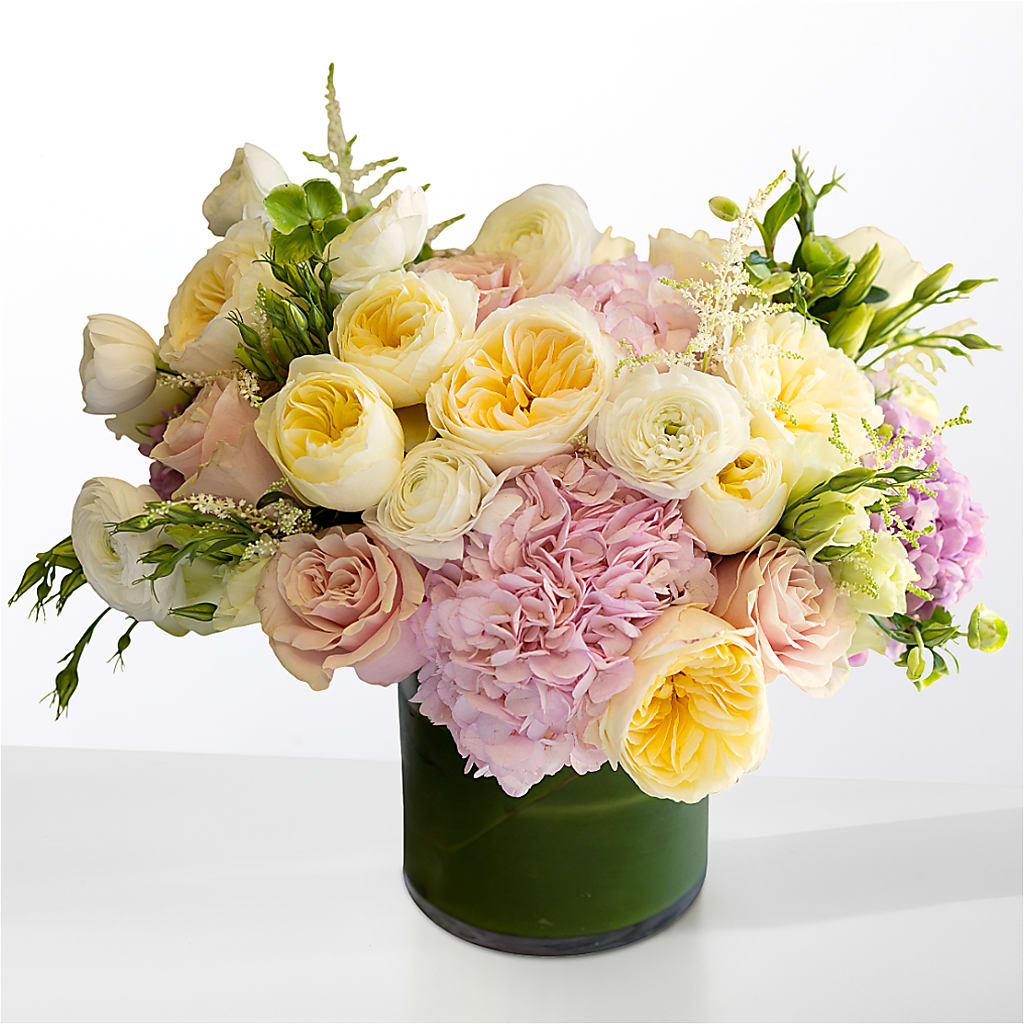 The Melody –  Lily And Rose, Nashville TN