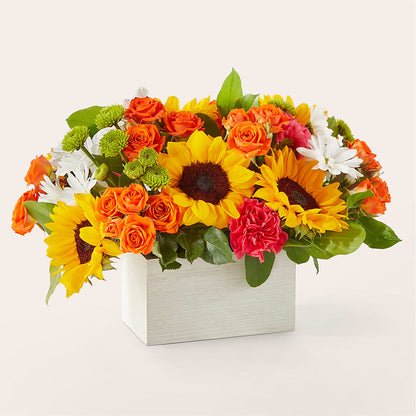 Sun-drenched Blooms Box Bouquet –  Lily And Rose, Nashville TN