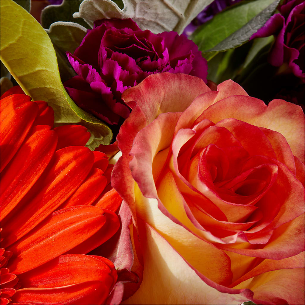 Sangria Bouquet –  Lily And Rose, Nashville TN