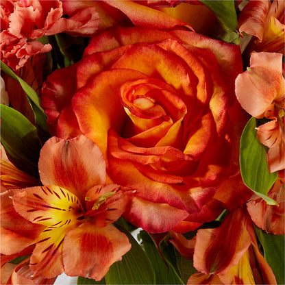 Apricot Glow Bouquet –  Lily And Rose, Nashville TN