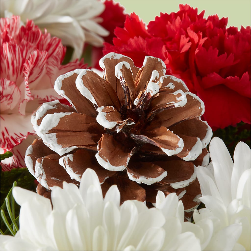 Candy Cane Lane Bouquet –  Lily And Rose, Nashville TN