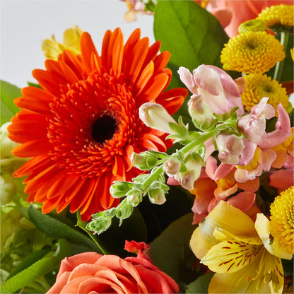 Autumn Sunshine Bouquet –  Lily And Rose, Nashville TN
