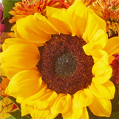 Sunny Side Bouquet –  Lily And Rose, Nashville TN