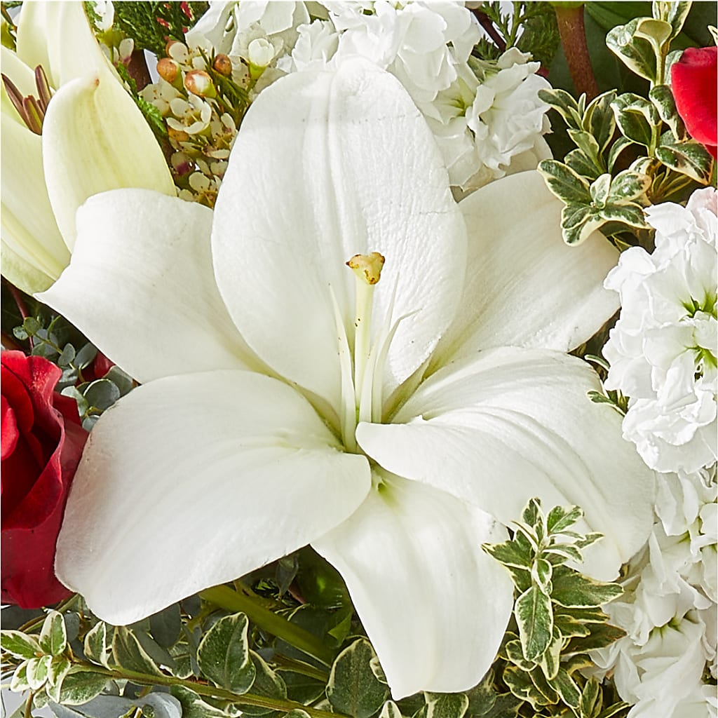 Twinkle Lights Bouquet –  Lily And Rose, Nashville TN