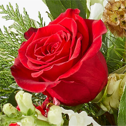 Deck the Halls Bouquet –  Lily And Rose, Nashville TN