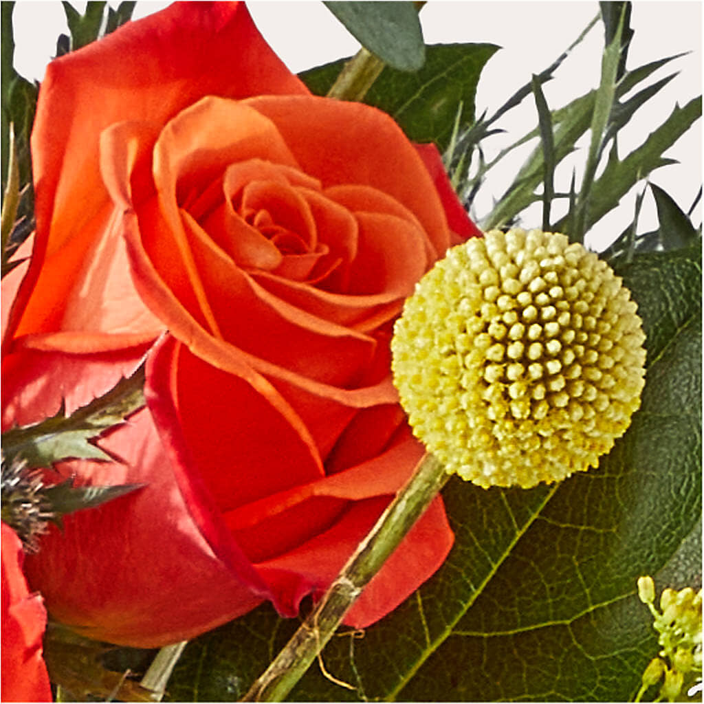 Disco Bouquet –  Lily And Rose, Nashville TN