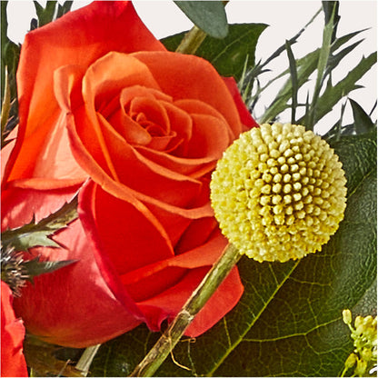 Disco Bouquet –  Lily And Rose, Nashville TN