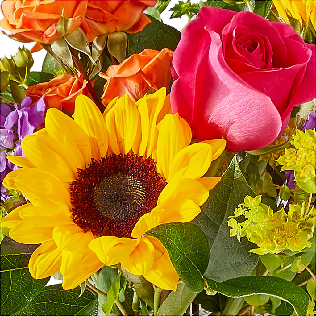 Vibrant Greetings Bouquet –  Lily And Rose, Nashville TN