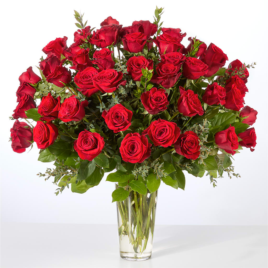 Forever Yours Fifty Stem Red Rose Bouquet –  Lily And Rose, Nashville TN