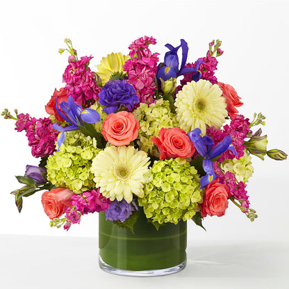 The Couture –  Lily And Rose, Nashville TN