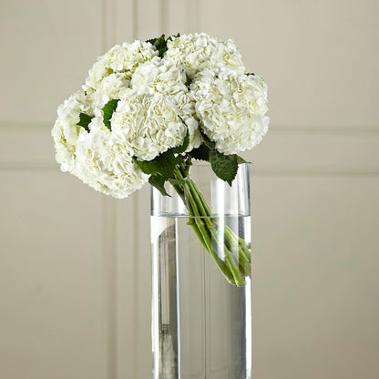 White Hydrangea Hand-Tied Bouquet –  Lily And Rose, Nashville TN