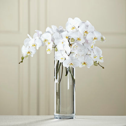 White Phalaenopsis Bouquet –  Lily And Rose, Nashville TN