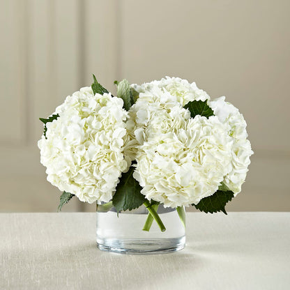 White Hydrangea Bouquet –  Lily And Rose, Nashville TN